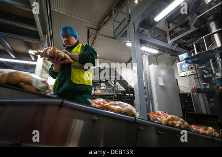 Un uomo del controllo di qualità di un sacco di patate di primizia in un impianto di confezionamento, REGNO UNITO Foto Stock