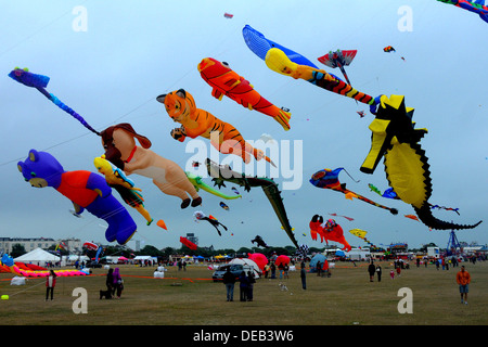 L'annuale festival di kite a Southsea, Hampshire Agosto 2013 Foto Stock