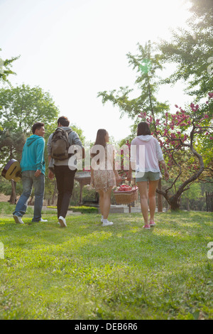 Quattro amici passeggiare in un parco a fare un picnic su un giorno di primavera, portante un cestino da pic nic e un pallone da calcio Foto Stock