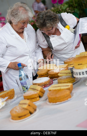 Due donne a giudicare il pan di spagna le voci nel concorso di cucina presso il Pembrokeshire spettacolo agricolo Wales UK Foto Stock