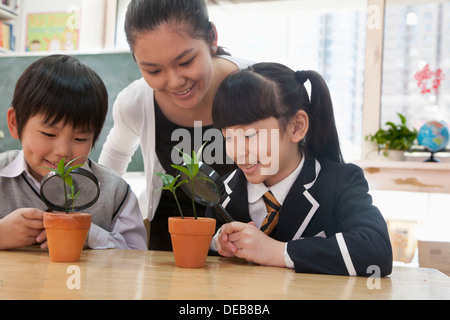 Studenti e docenti esaminando invasati attraverso la lente di ingrandimento Foto Stock