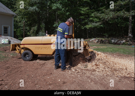 Un uomo con un modello di Rayco Super RG50 4X4 moncone smerigliatrice per rimuovere un ceppo di albero a Foster, Rhode Island. Foto Stock