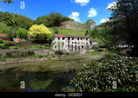 Fiume Yeo sotto le scogliere calcaree di Cheddar Gorge, Mendip Hills, Contea di Somerset, Inghilterra, Regno Unito Foto Stock