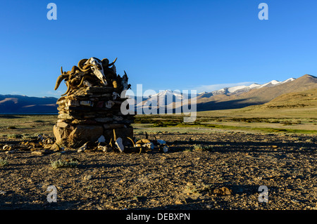 Cumulo di yak teschi e le corna, buddista luogo di preghiera e meditazione, Korzok, Ladakh, Jammu e Kashmir India Foto Stock