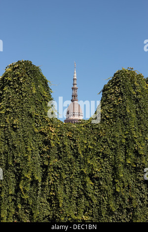 Il più importante edificio a Novara, la Cupola di San Gaudenzio, Italia Foto Stock