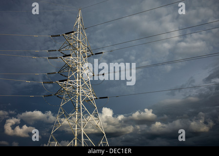 Pilone di elettricità e i cavi nella campagna indiana contro un buio cielo tempestoso. Andhra Pradesh, India Foto Stock