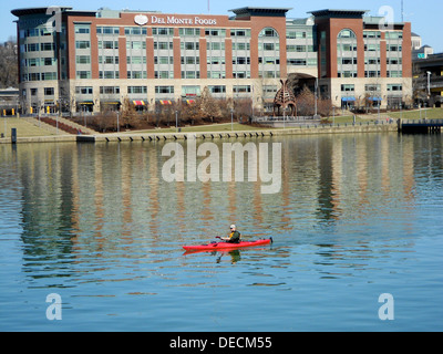 Un canoista pagaia lungo il fiume Allegheny vicino alla confluenza con il fiume Monongahela presso il Point State Park di Pittsburgh. L'edificio per uffici del Monte è visibile sullo sfondo, evidenziando il paesaggio urbano. Foto Stock