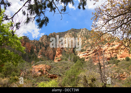 Oak Creek Canyon, Arizona Foto Stock
