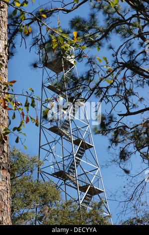 Torre antincendio nel Osceola National Forest in North Central Florida. Foto Stock