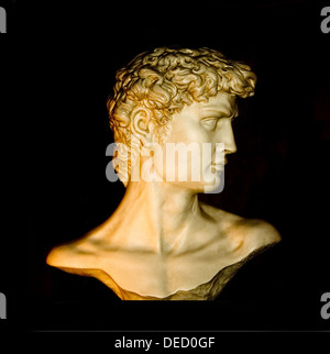 Busto - copia (su sfondo nero) della testa e spalle di Michelangelo 'David' Foto Stock