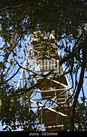 Torre antincendio nel Osceola National Forest in North Central Florida. Foto Stock