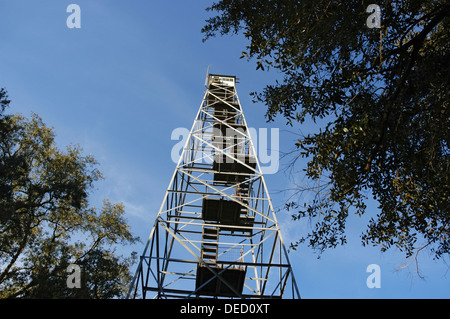 Torre antincendio nel Osceola National Forest in North Central Florida. Foto Stock