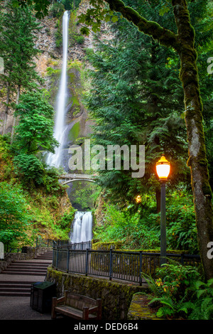 La passerella che conduce alle cascate Multnomah lungo il Columbia River Gorge, Oregon, Stati Uniti d'America Foto Stock