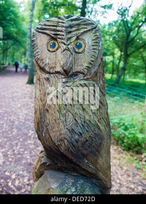 Scultura in legno di un gufo alla Foresta di Sherwood visitor center vicino a Nottingham. Foto Stock