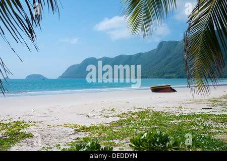 Una vista incredibile di un Hai sulla spiaggia Con Son Isola, uno dei Con Dao le isole al largo della costa meridionale della Vietnam. Foto Stock