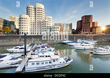 Neuer Zollhof, progettato da Frank Gehry, Media Harbour (Medienhafen), Dusseldorf, Nord Reno Wetphalia, Germania, Europa Foto Stock