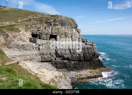 Tilly Capriccio Grotte, Durlston Country Park, Isle of Purbeck, Dorset, England, Regno Unito, Europa Foto Stock