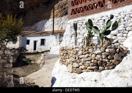 Piccola fattoria aggrappati alla collina ai piedi delle rovine del castello, montefrio, provincia di Granada, Andalusia, Spagna, Europa. Foto Stock