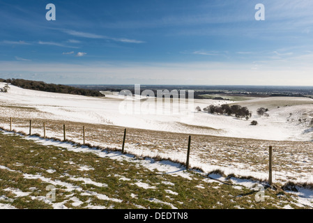 Vista su Lavant giù, vicino a Chichester, West Sussex, Regno Unito Foto Stock