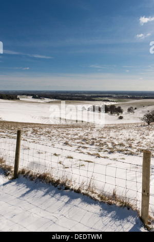 Vista su Lavant giù, vicino a Chichester, West Sussex, Regno Unito Foto Stock