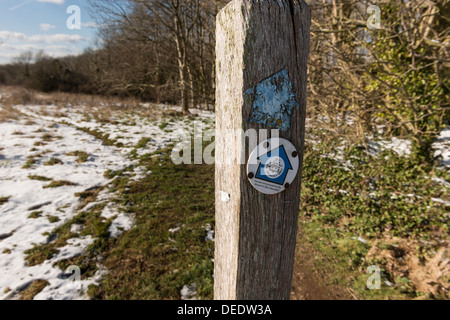 Monarch modo signpost, vicino a West Dean, Chichester, West Sussex, Regno Unito Foto Stock