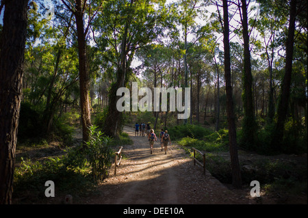 Orosei, Italia, gli escursionisti nel parco naturale di Biderosa Foto Stock