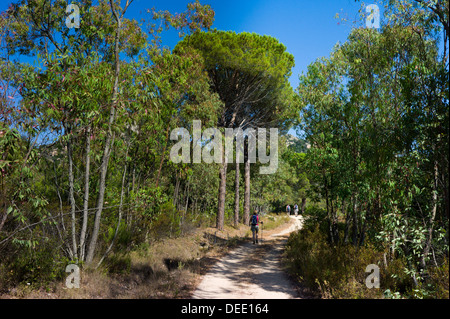 Orosei, Italia, gli escursionisti nel parco naturale di Biderosa Foto Stock