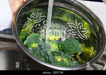 Broccoli di risciacquo in un colapasta sotto l'acqua corrente. Foto Stock