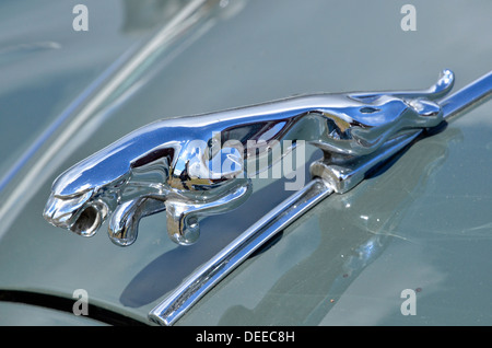 Cromato Jaguar emblema sul cofano del motore di un Mk2 Jaguar (Jaguar 240) automobile berlina Foto Stock