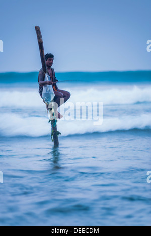Stilt fisherman a Midigama vicino a Weligama, South Coast, Sri Lanka, Oceano Indiano, Asia Foto Stock