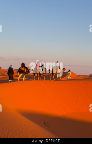 I turisti a dorso di cammello safari nel deserto del Sahara, Merzouga, Marocco, Africa Settentrionale, Africa Foto Stock