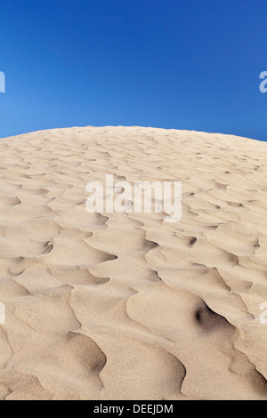 Dune di Maspalomas, Maspalomas, Gran Canaria Isole Canarie Spagna, Atlantico, Europa Foto Stock