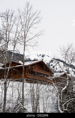 Chalet in Gstaad con interior design da Tino Zervudachi Foto Stock