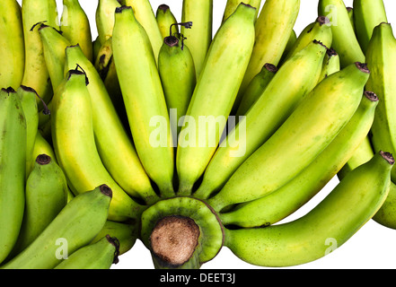 Grappolo di banane. Foto Stock