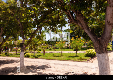 Africa, Angola, Benguela. Vista di alberi in fiore nel parco. Foto Stock