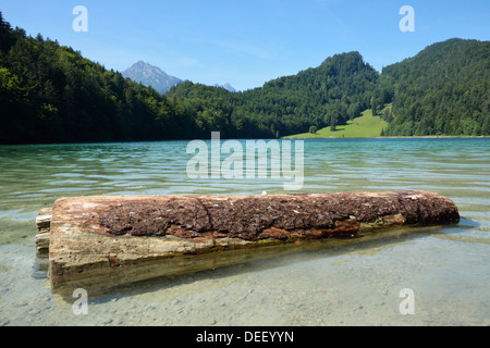 Lago Alatsee nell'Allgaeu alpi (Baviera, Germania) Foto Stock