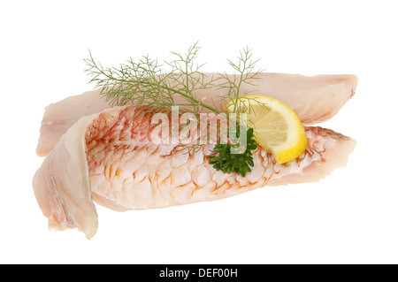 Materie scoglio Triglia di scoglio o triglia di fango i filetti di pesce guarnito con limone, prezzemolo e finocchio isolata contro bianco Foto Stock