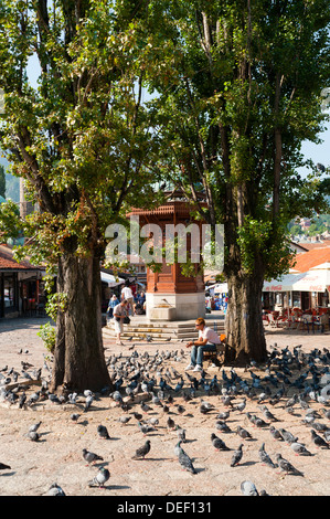 Città di Sarajevo, capitale della Bosnia ed Erzegovina, l'Europa. Foto Stock