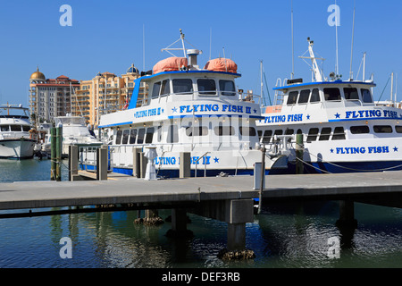 Bayfront Marina,Sarasota, Florida, STATI UNITI D'AMERICA,l'America del Nord Foto Stock