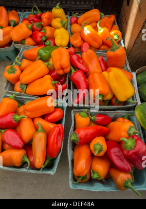 La pinta ceste di peperoncini in unione Greenmarket Square a New York sabato 14 settembre, 2013. (© Richard B. Levine) Foto Stock