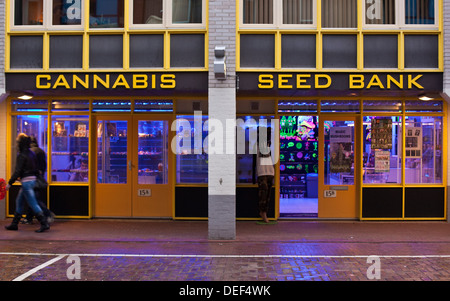 Semi di Cannabis shop Banca frontage in Amsterdam Foto Stock