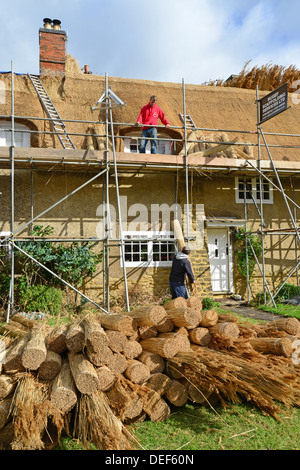 Thatchers lattoneria tetti di cottages, Ashby St partitari, Northamptonshire, England, Regno Unito Foto Stock