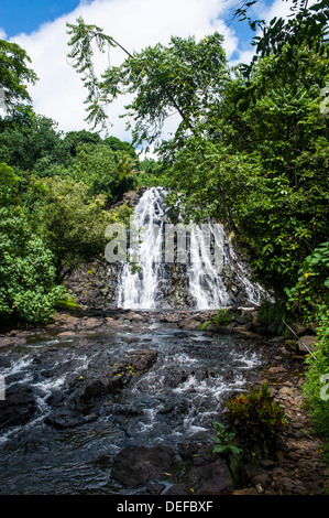 Kepirohi cascata, Pohnpei (Ponape), Stati Federati di Micronesia, Isole Caroline, Pacifico centrale e del Pacifico Foto Stock