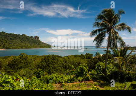 Lonely Palm tree, Pohnpei (Ponape), Stati Federati di Micronesia, Isole Caroline, Pacifico centrale e del Pacifico Foto Stock