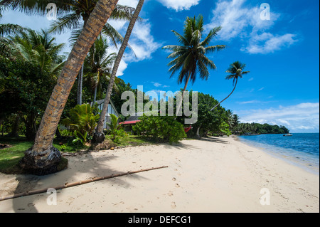 Una bellissima spiaggia di sabbia bianca e palme sull isola di Yap, Stati Federati di Micronesia, Isole Caroline, Pacific Foto Stock