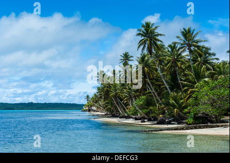 Una bellissima spiaggia di sabbia bianca e palme sull isola di Yap, Stati Federati di Micronesia, Isole Caroline, Pacific Foto Stock