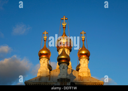 Cipolla dorata torri della chiesa russo-ortodossa di Ginevra nella luce della sera, Genf, Kanton Genf Schweiz, Genève Foto Stock
