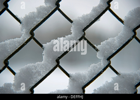 Neve su una catena collegamento recinto Foto Stock