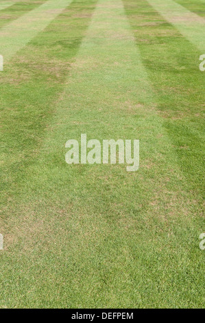 Lussureggianti e ben tenuti con prato falciato le linee convergenti di erba tagliata sulla erbaccia libero lame corte di erba Foto Stock