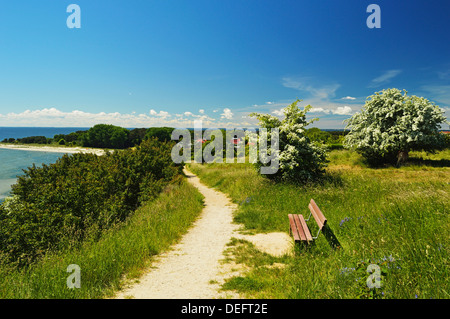 Rurale scena vicino Thiessow, Moenchgut, Ruegen Isola (Rügen Island), Meclenburgo-Pomerania Occidentale, Germania, del Mar Baltico, Europa Foto Stock